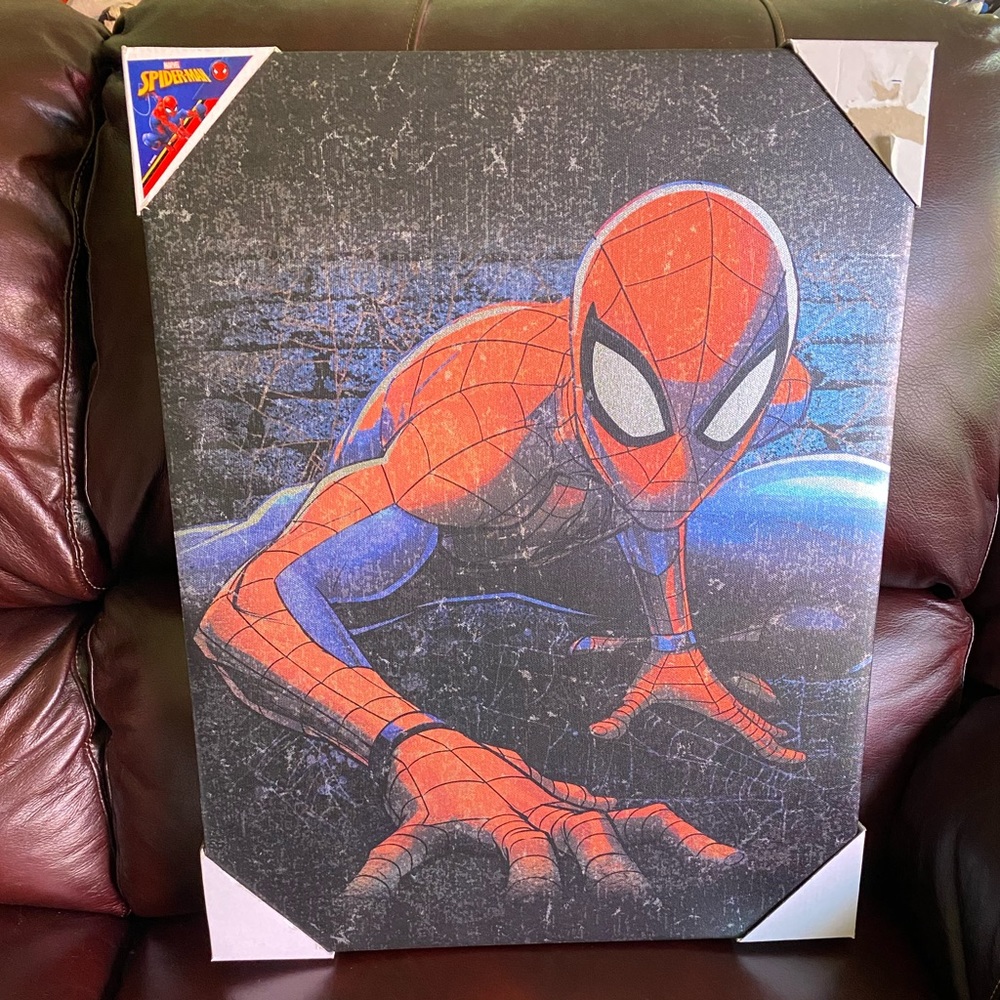 Spider-Man Picture Frame - Picture 7 of 8